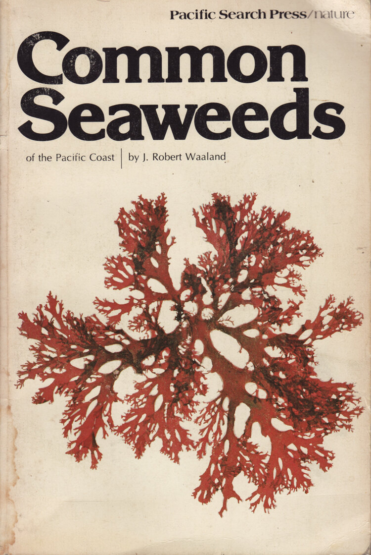 CommonSeaweeds.jpg