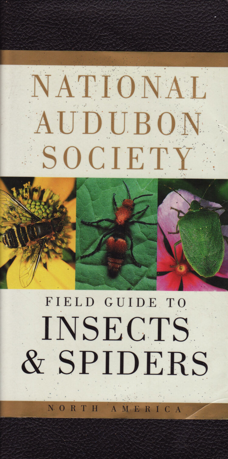 FieldGuidetoInsects&Spiders.jpg