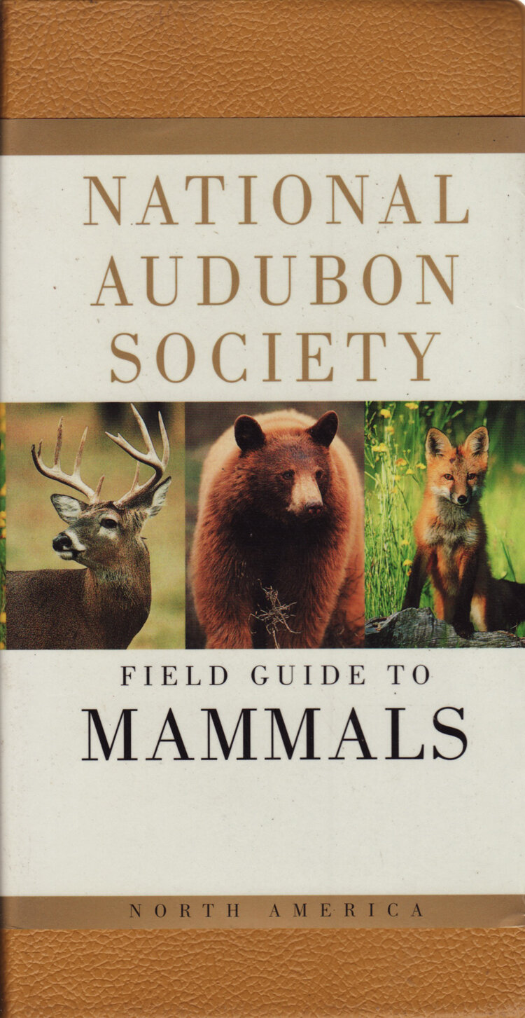 FieldGuidetoMammals.jpg