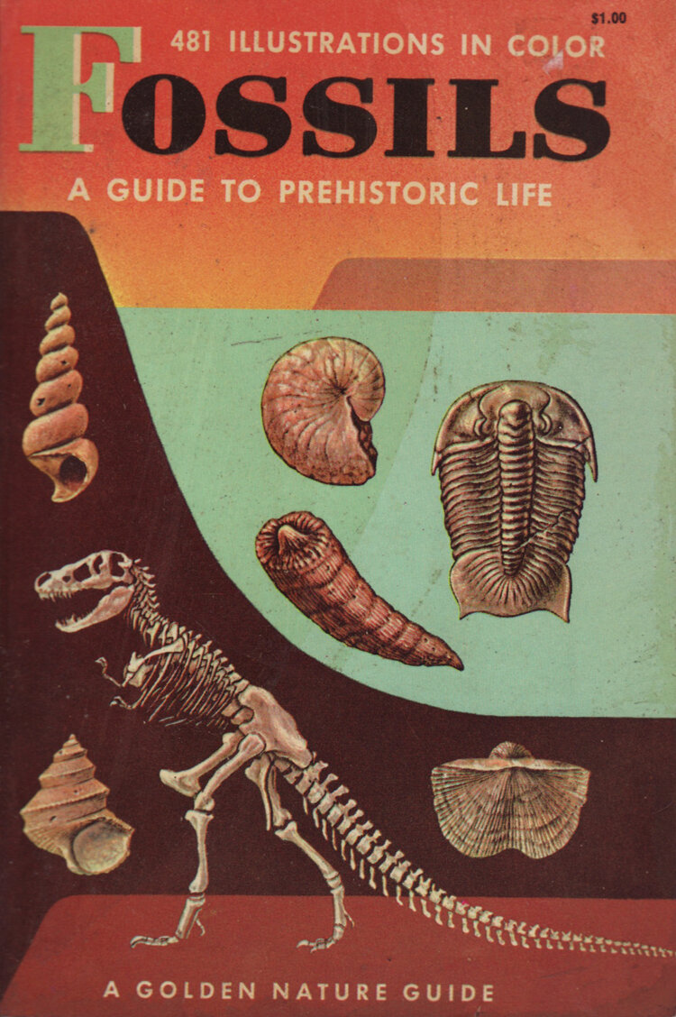 Fossils.jpg