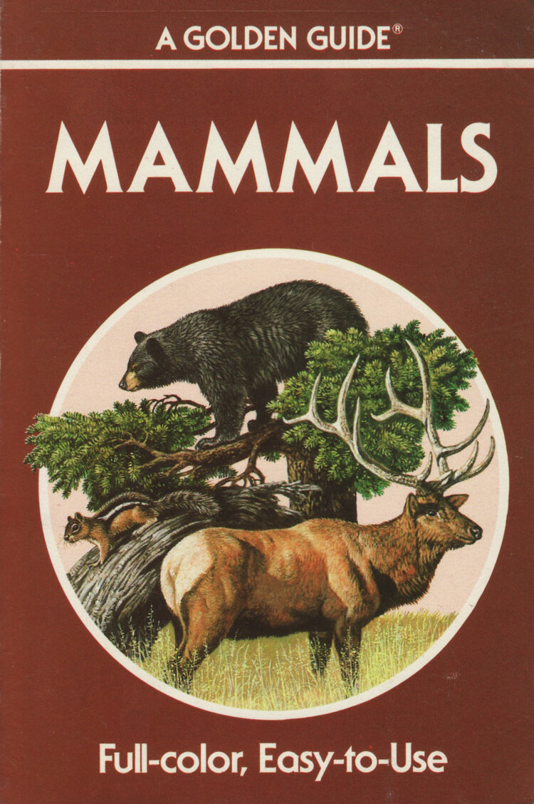 Mammals.jpg