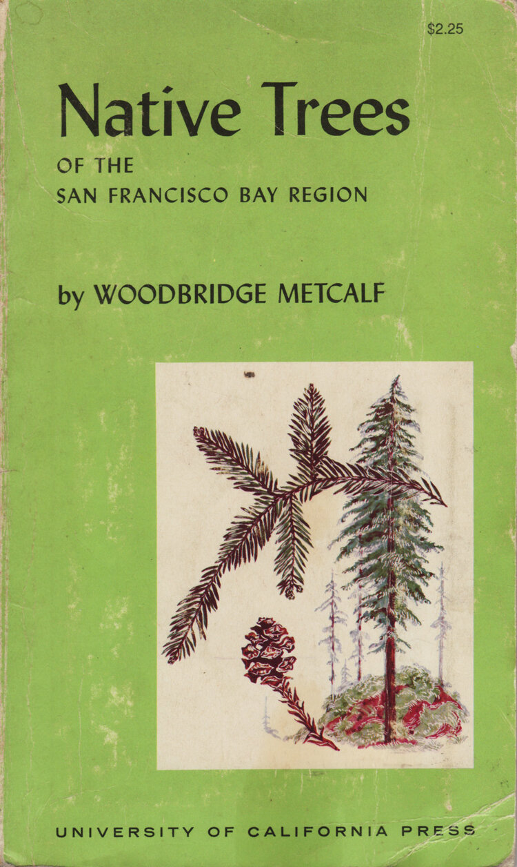 NativeTreesofSanFranciscoBay.jpg