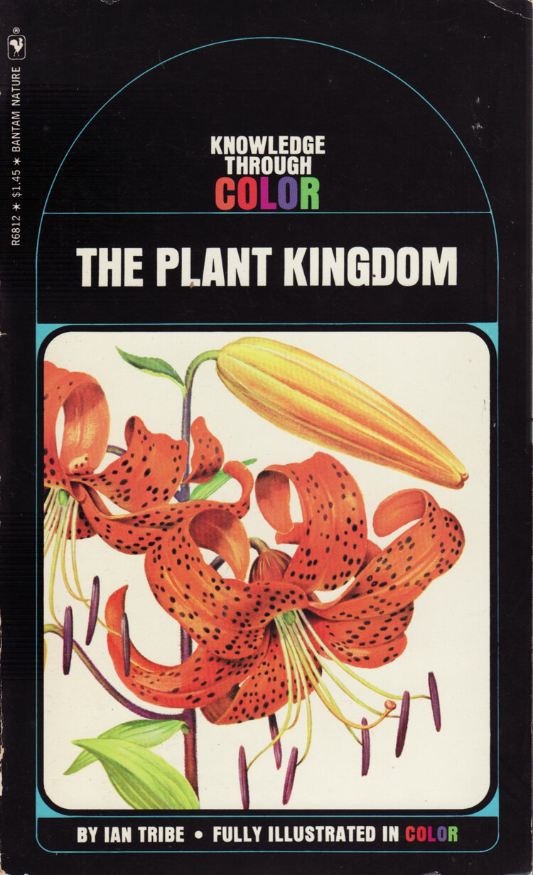 PlantKingdom.jpg