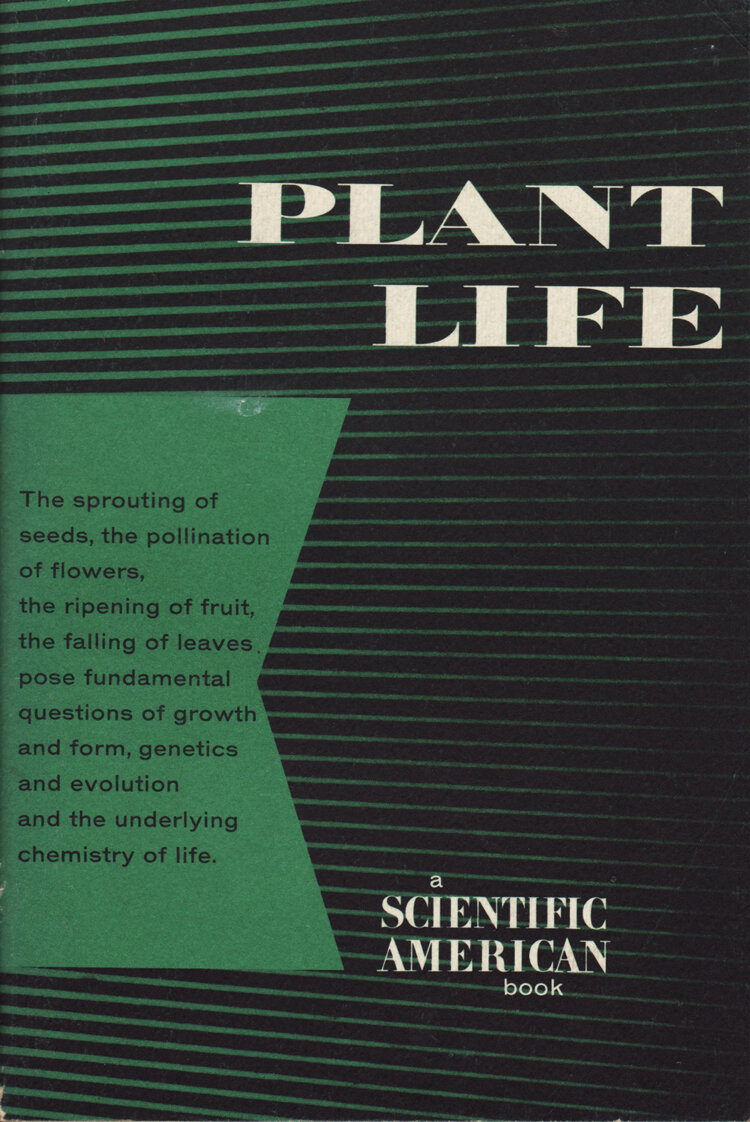 PlantLife.jpg