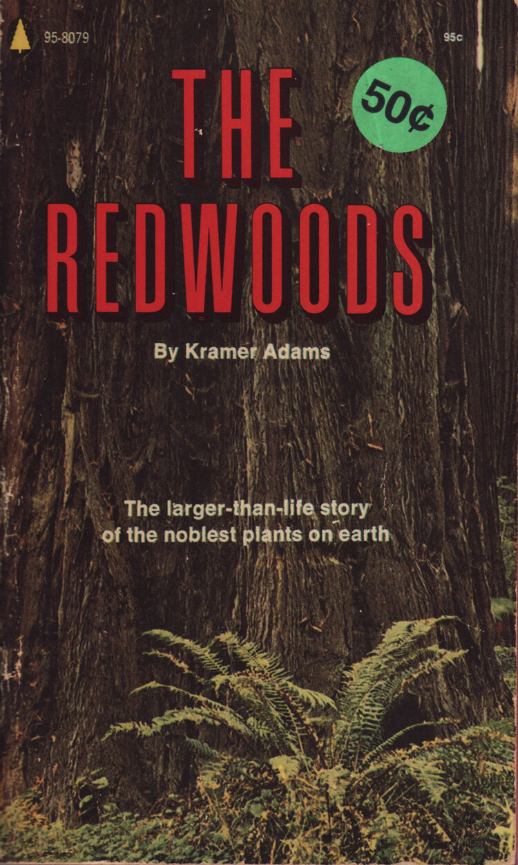 Redwoods.jpg