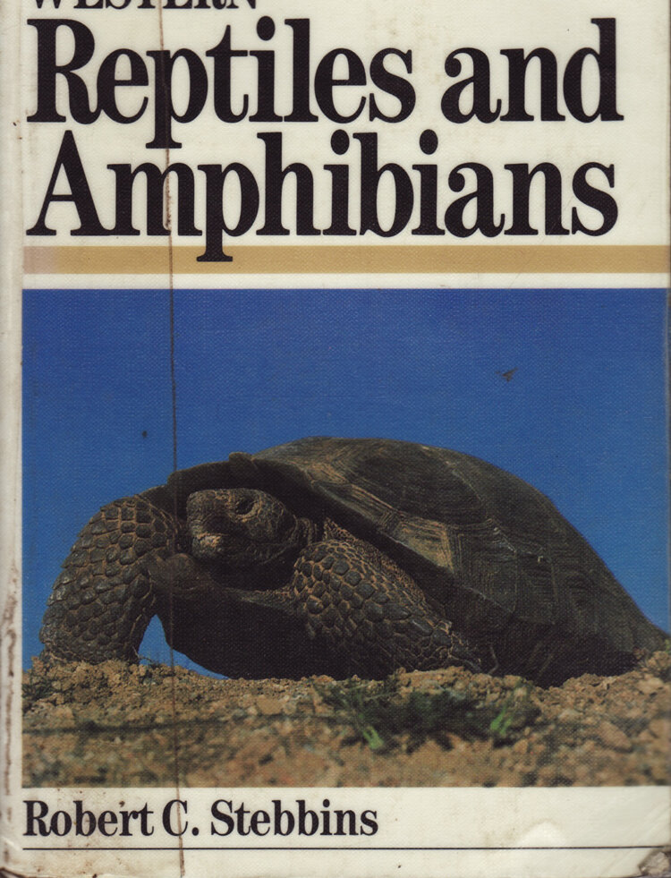 ReptilesandAmphibians-2.jpg