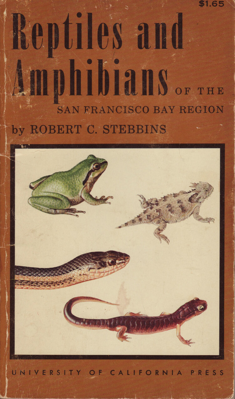 ReptilesandAmphibians.jpg