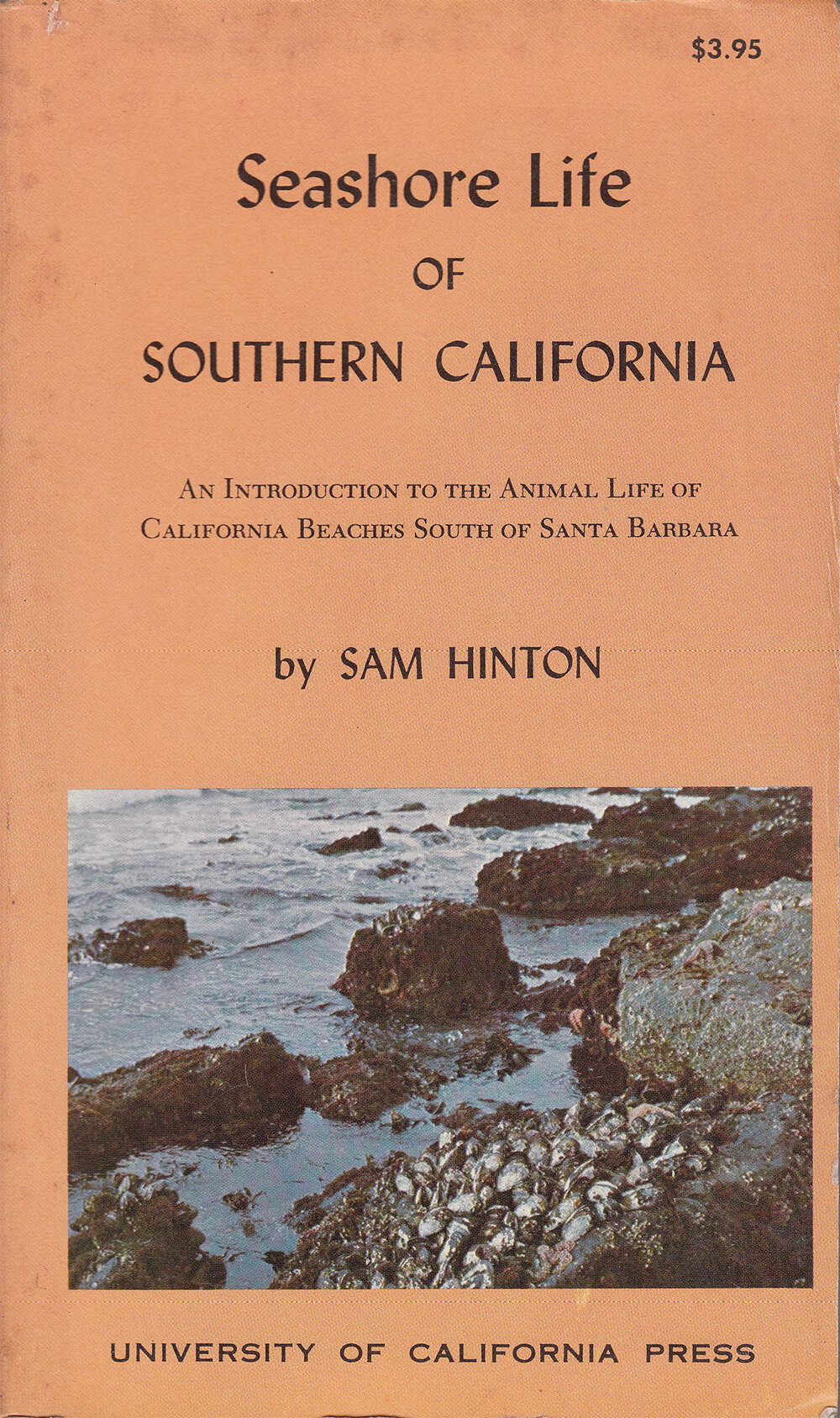 SeashoreLifeOfSouthernCalifornia.jpg