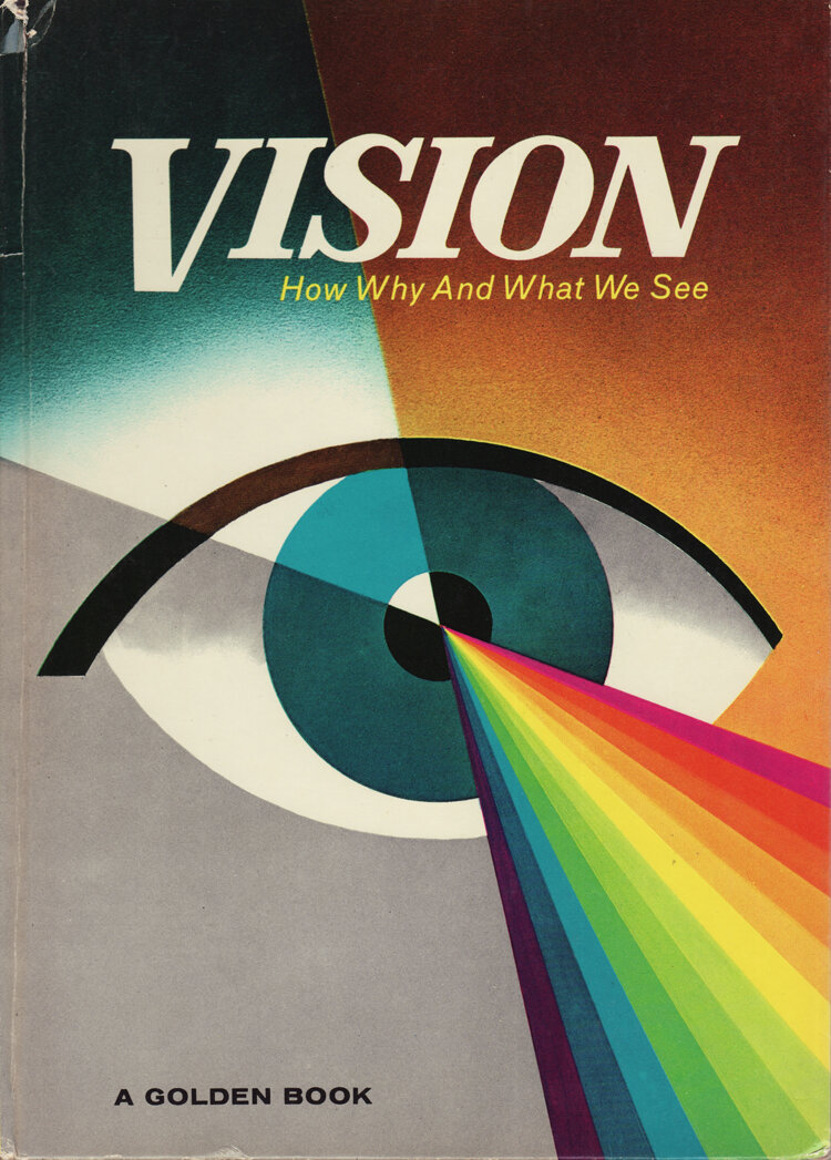 Vision.jpg