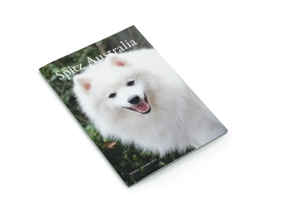 JSMa-Cover.jpg