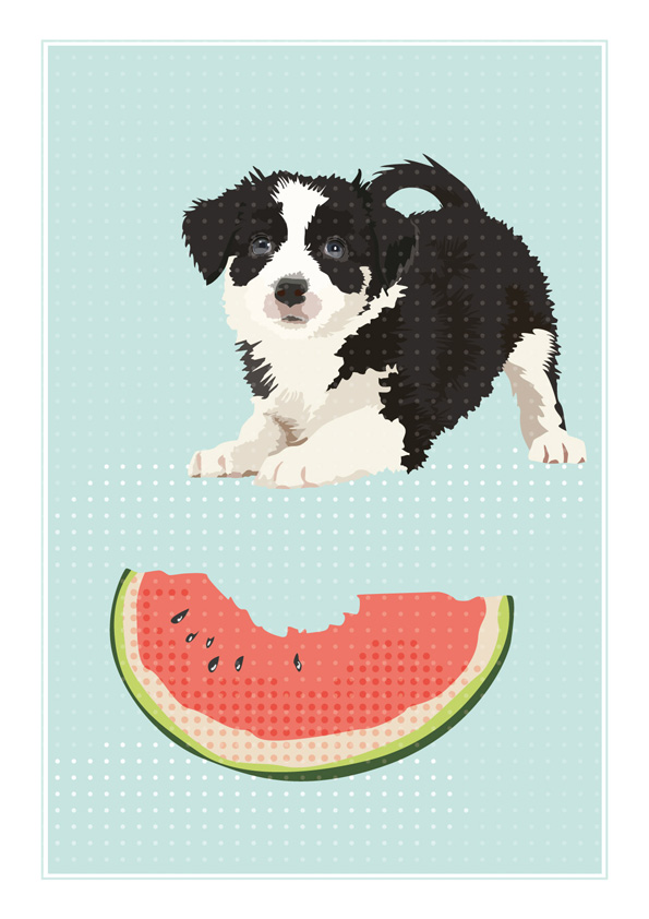 Fruit-Puppies-Border-Collie-01.jpg