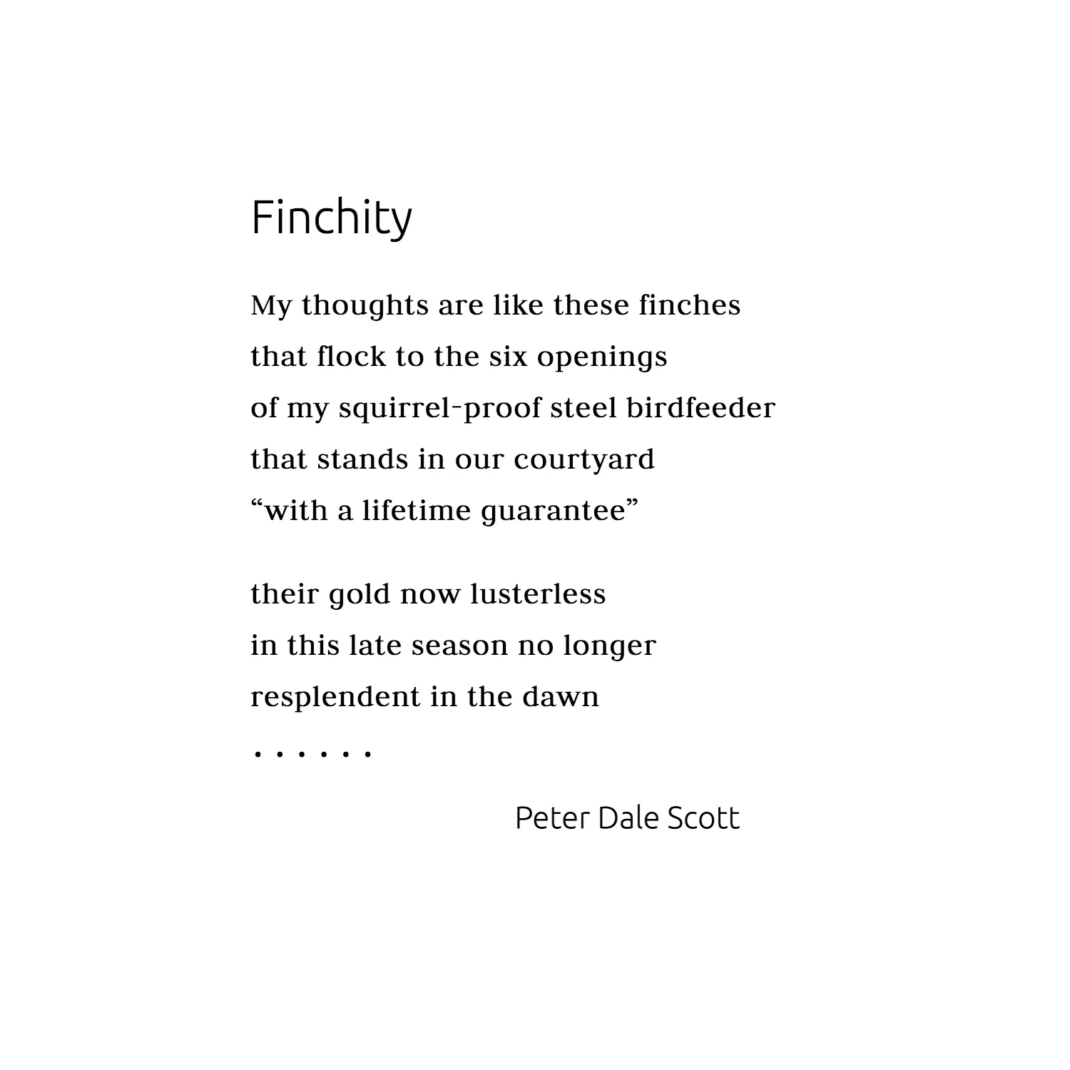 fincinityhigher.jpg