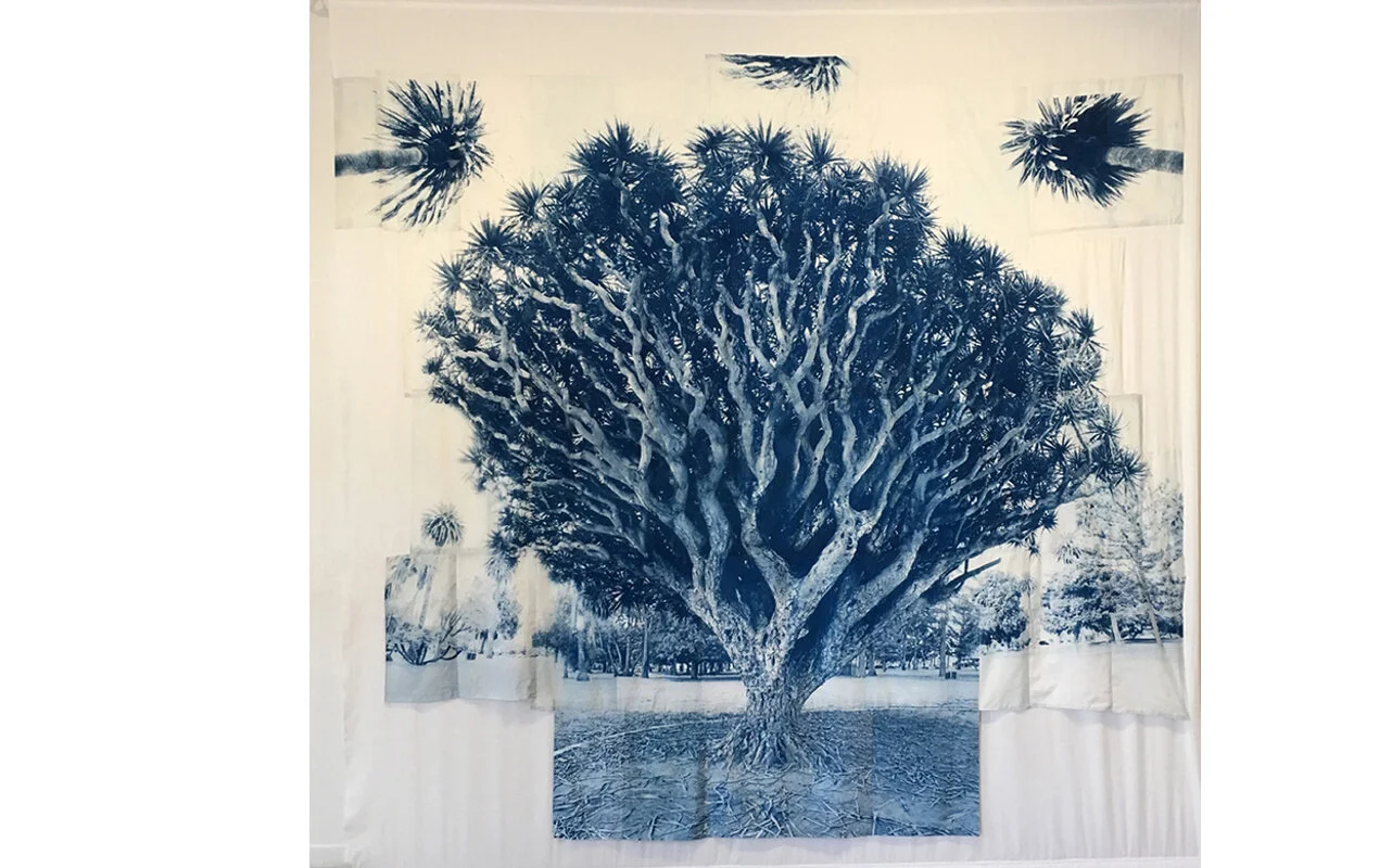 DragonTree 1270x800 q95 285off.jpg