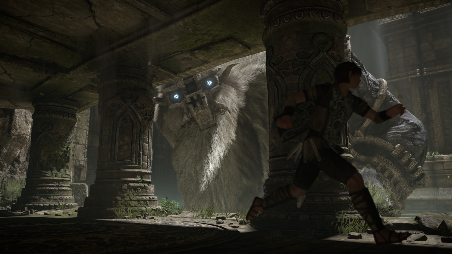 Wander, Team Ico Wiki