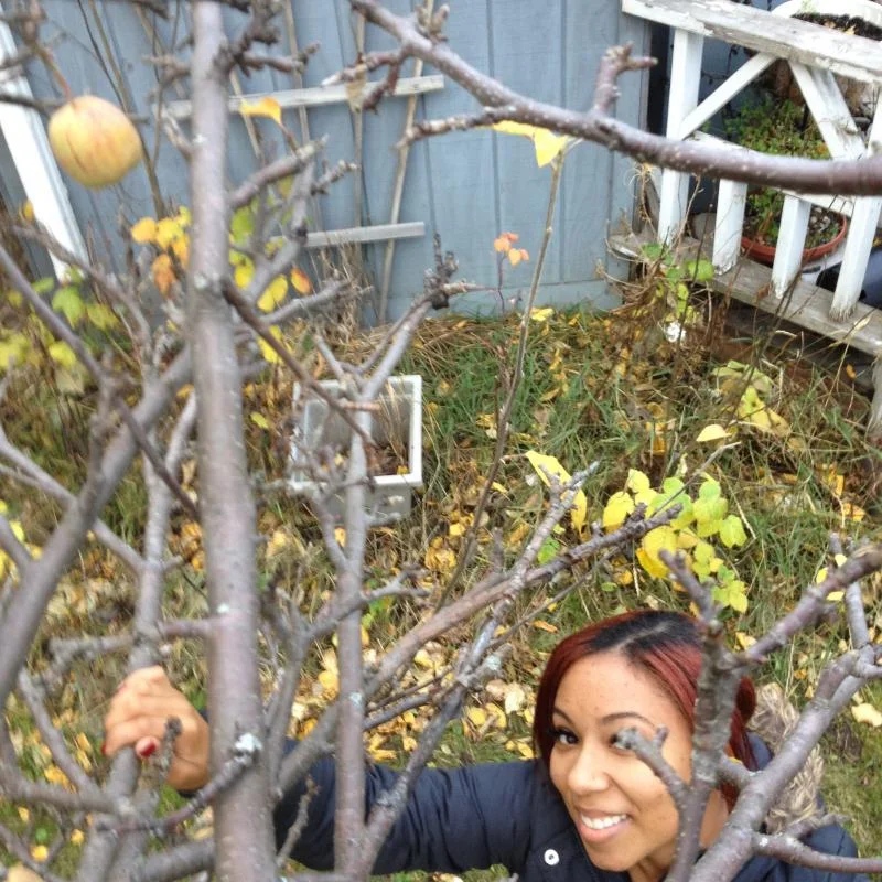 Making the Most of the Changing Seasons