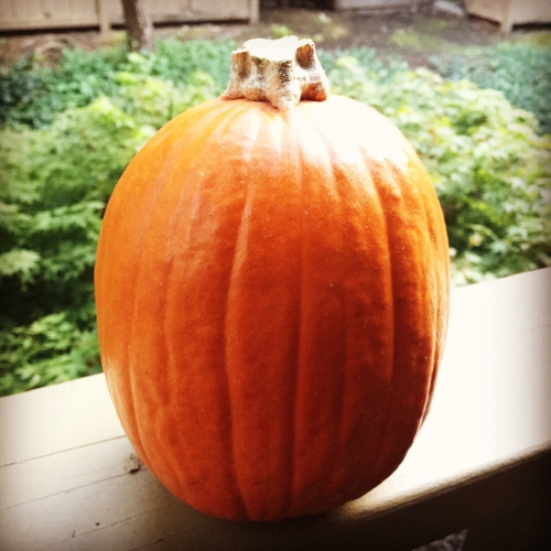 pumpkin on the deck.jpeg