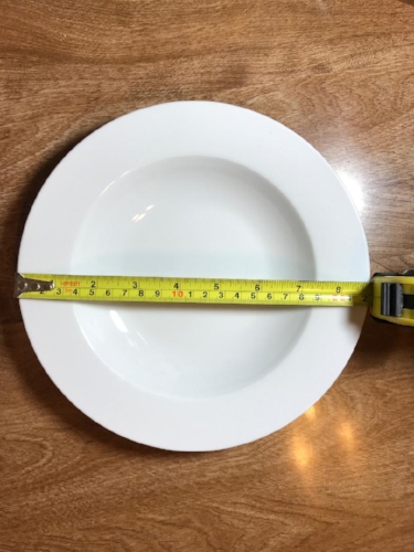 9 inch plate.jpeg