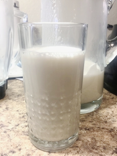 nut milk 2.jpeg