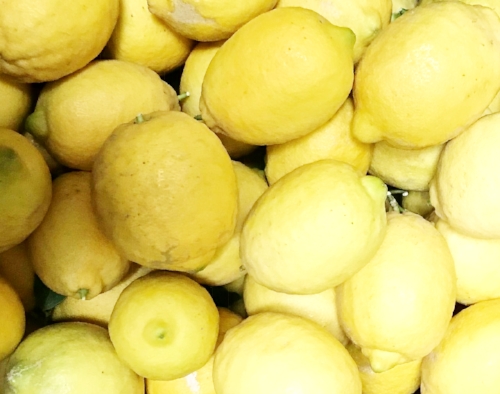 Arizona lemons from a neighbor's yard