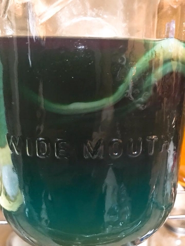 Midoriko Kombucha in the Making