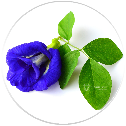 Photo from: Wild Hibiscus Flower Company