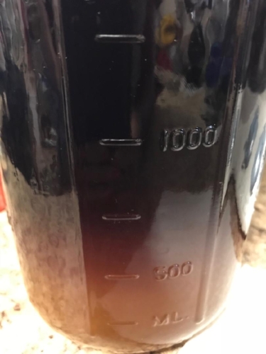 butterfly pea powder kombucha 2.jpeg