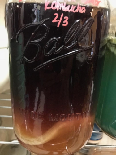 butterfly pea powder kombucha 3.jpeg