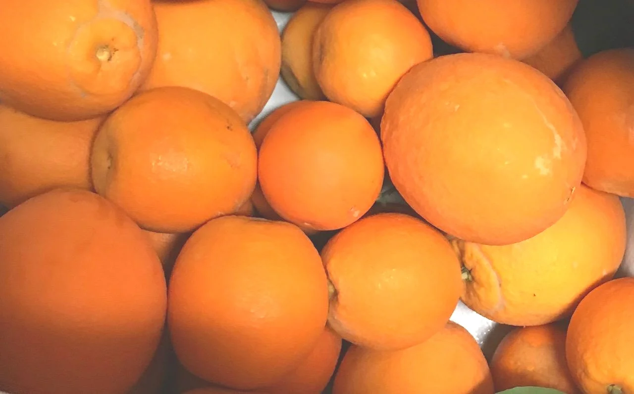 2018+oranges.jpg