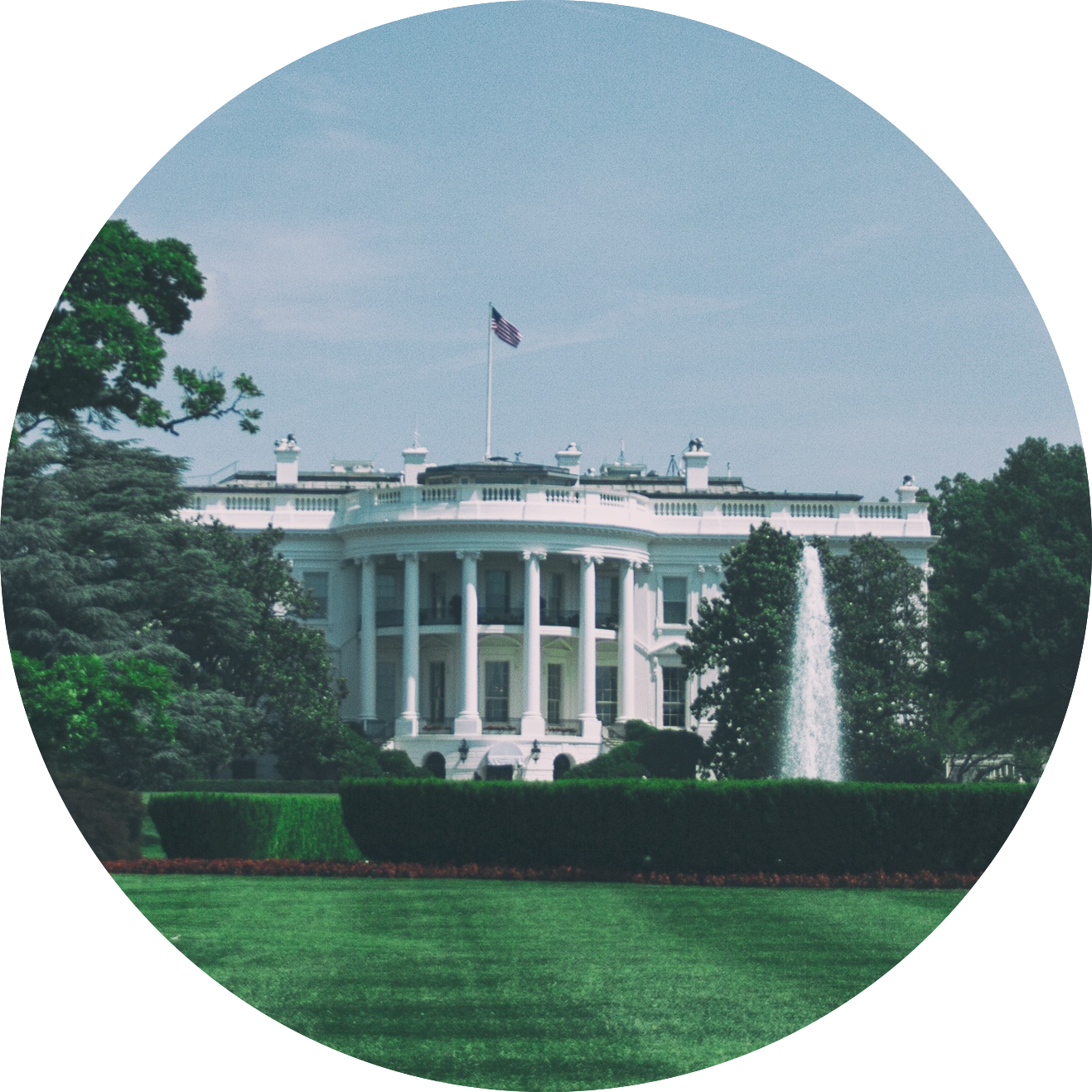 Washington_New.png