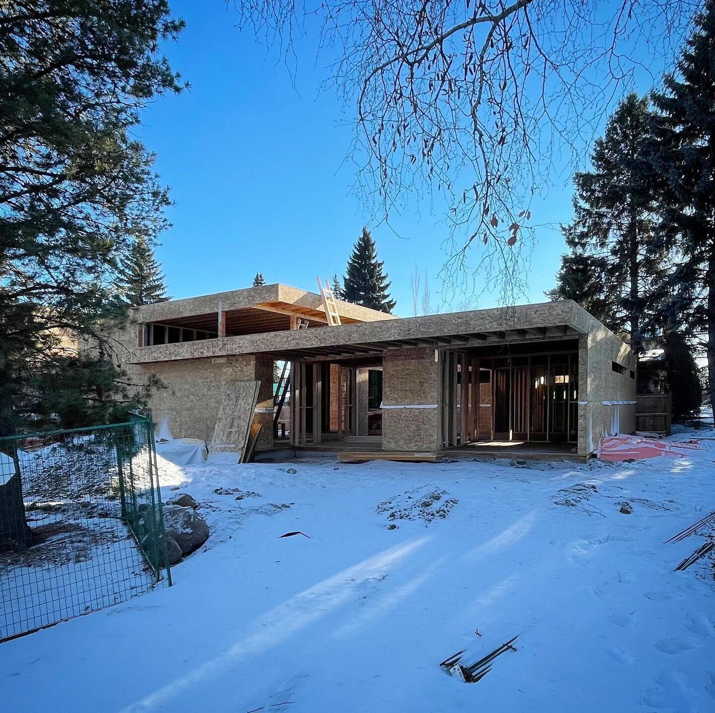 Riverside bungalow is up! 

#yeginfill #carpentry #framing #yegbuilder #yegarchitecture