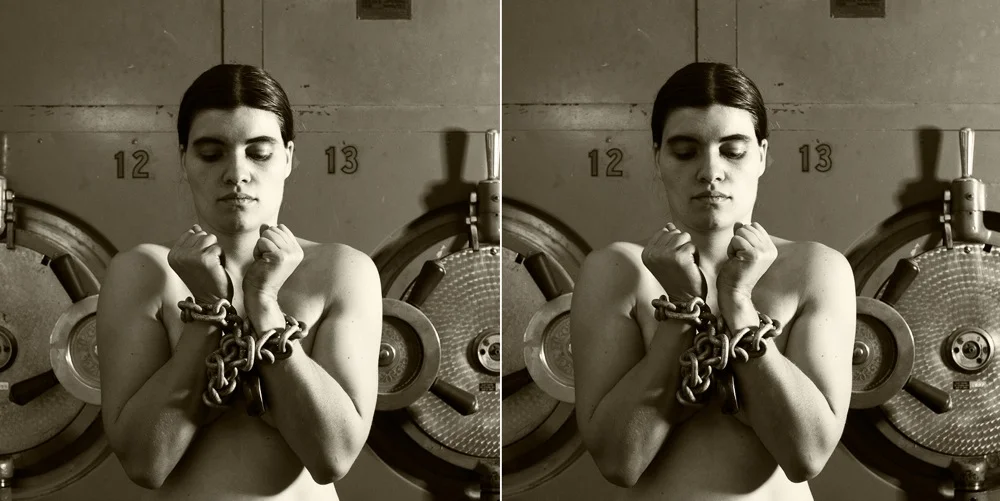 Stereoview, 2014