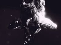 Great White Shark Disco Ball