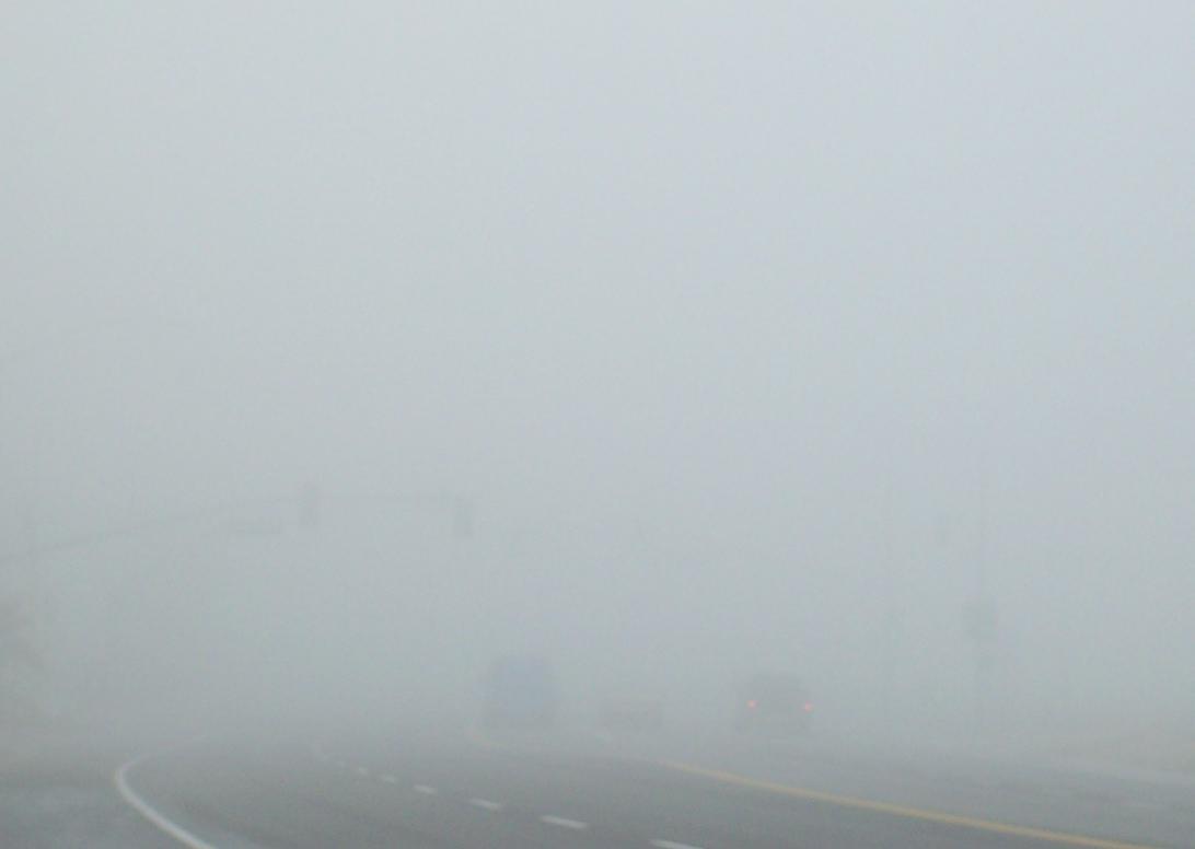 Fog.jpg