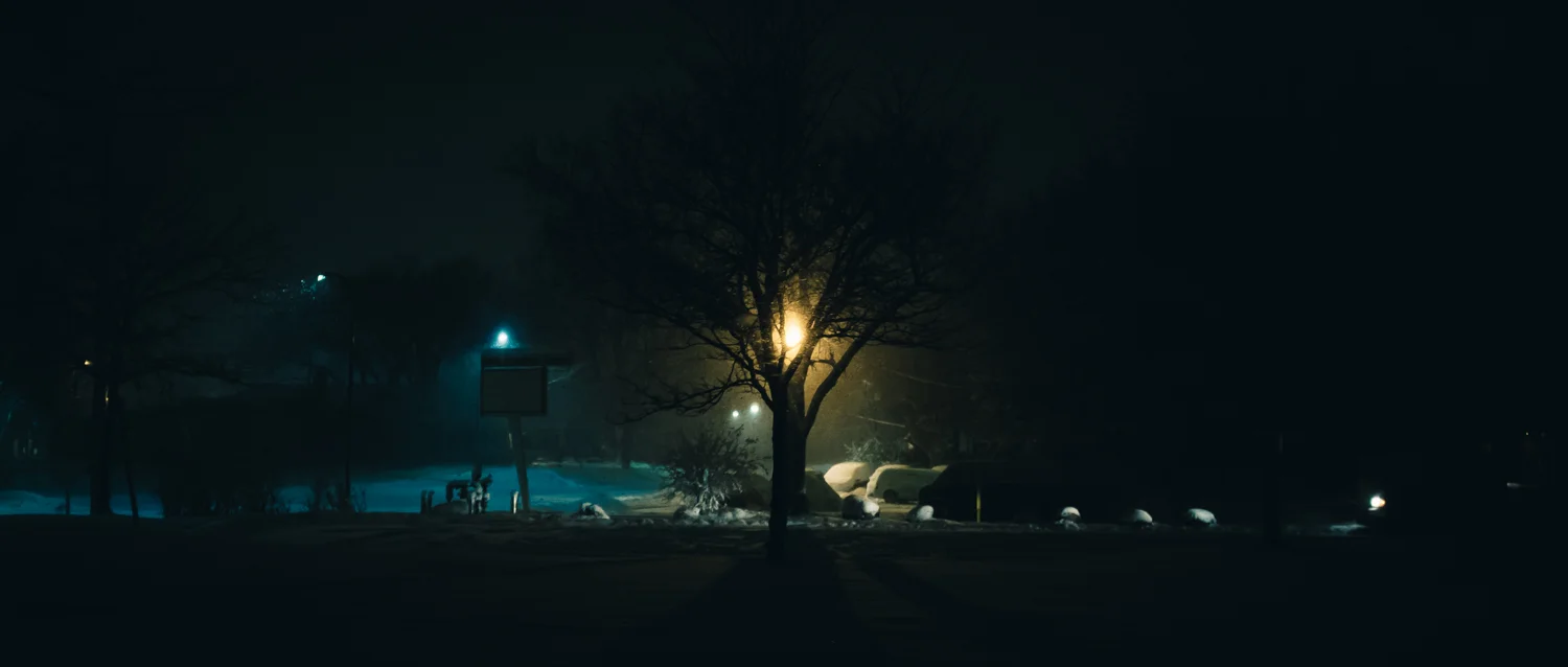 Portfolio-2.jpg