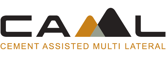 CAML Logo-Web.jpg