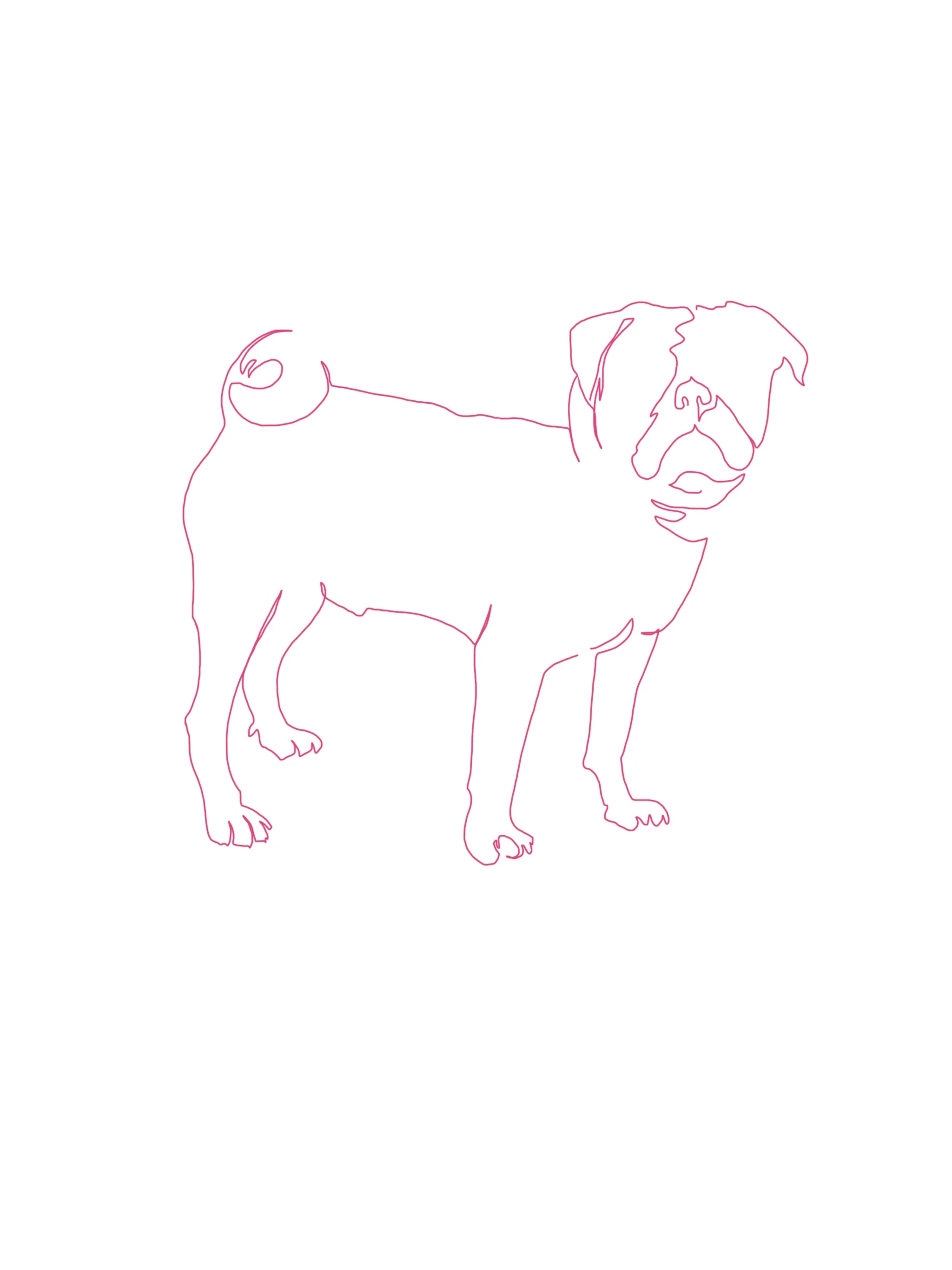 Custom Pet Portrait Line Drawing
