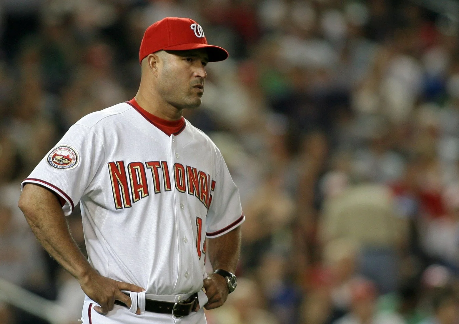 Peaking Early: The 2008 Washington Nationals Year in Review