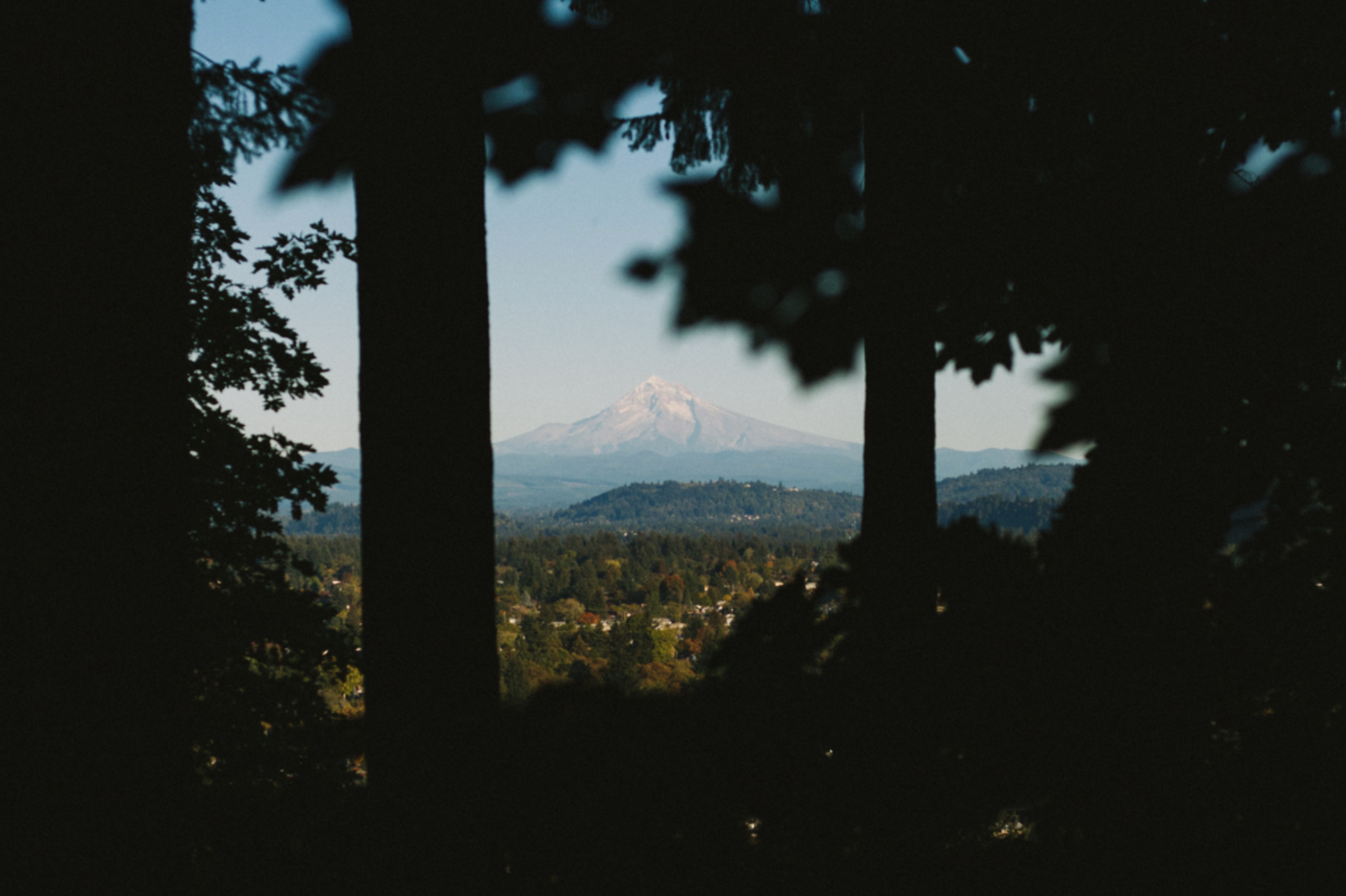 Mt. Hood