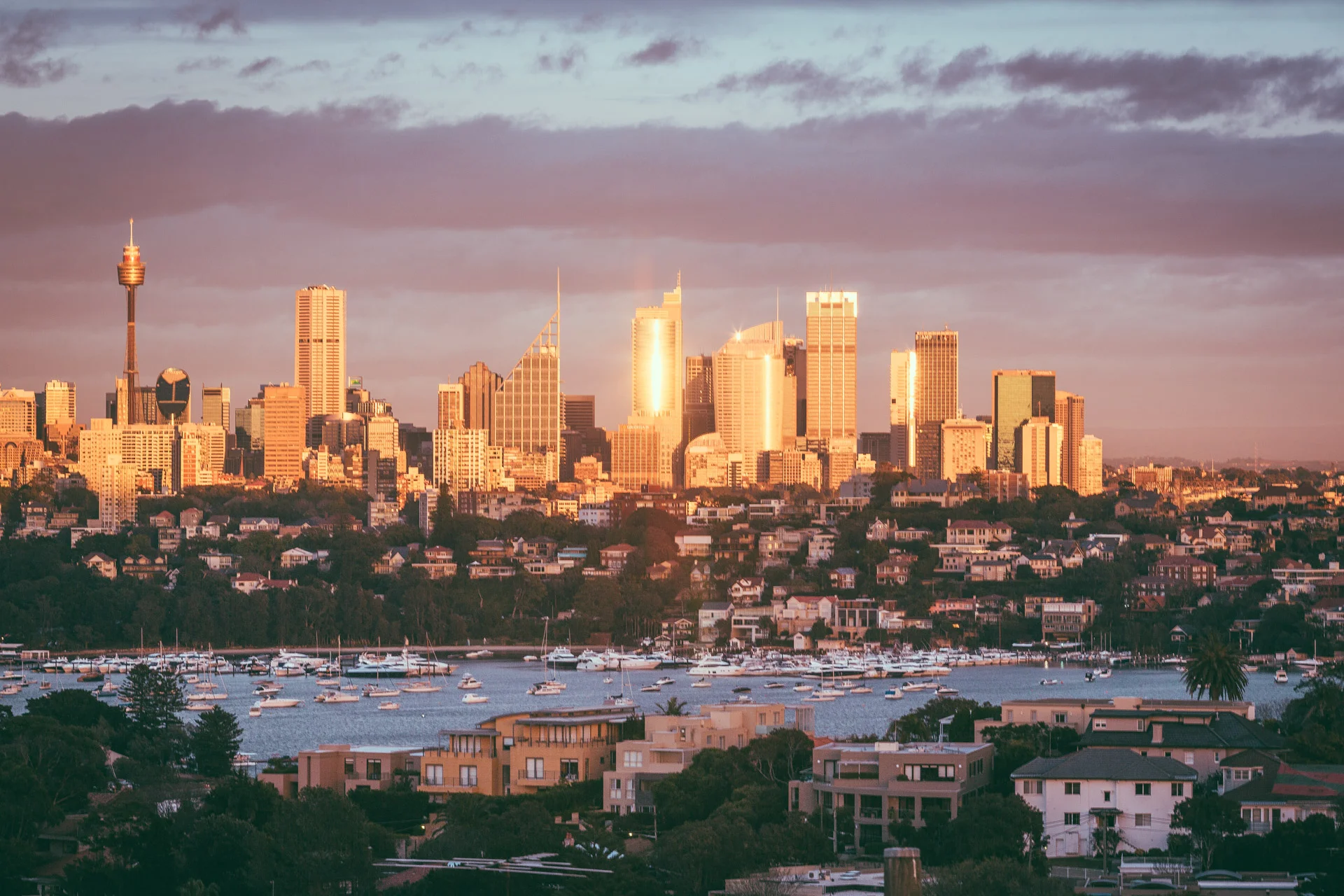 Sydney Golden Cityscape