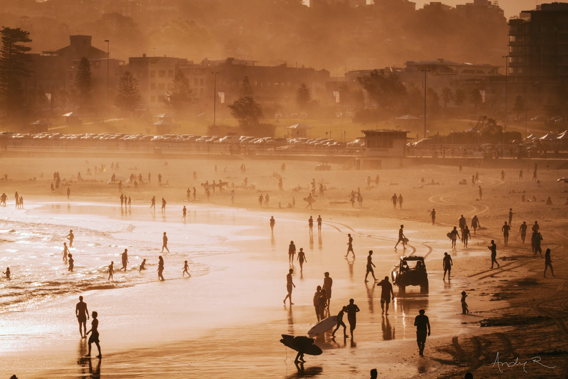 2013_01_30 Bondi evening_0044-Edit_AndyRoberts_lr.jpg