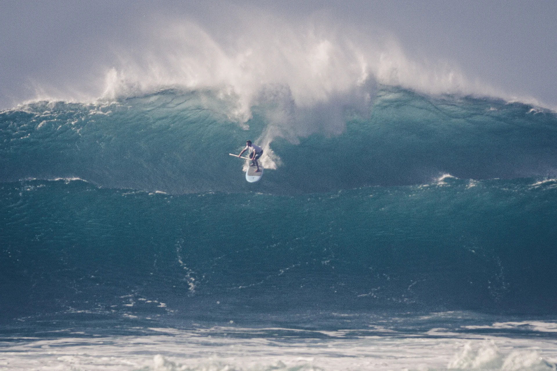 2013_02_08 Hawaii_0391_AndyRoberts_lr.jpg