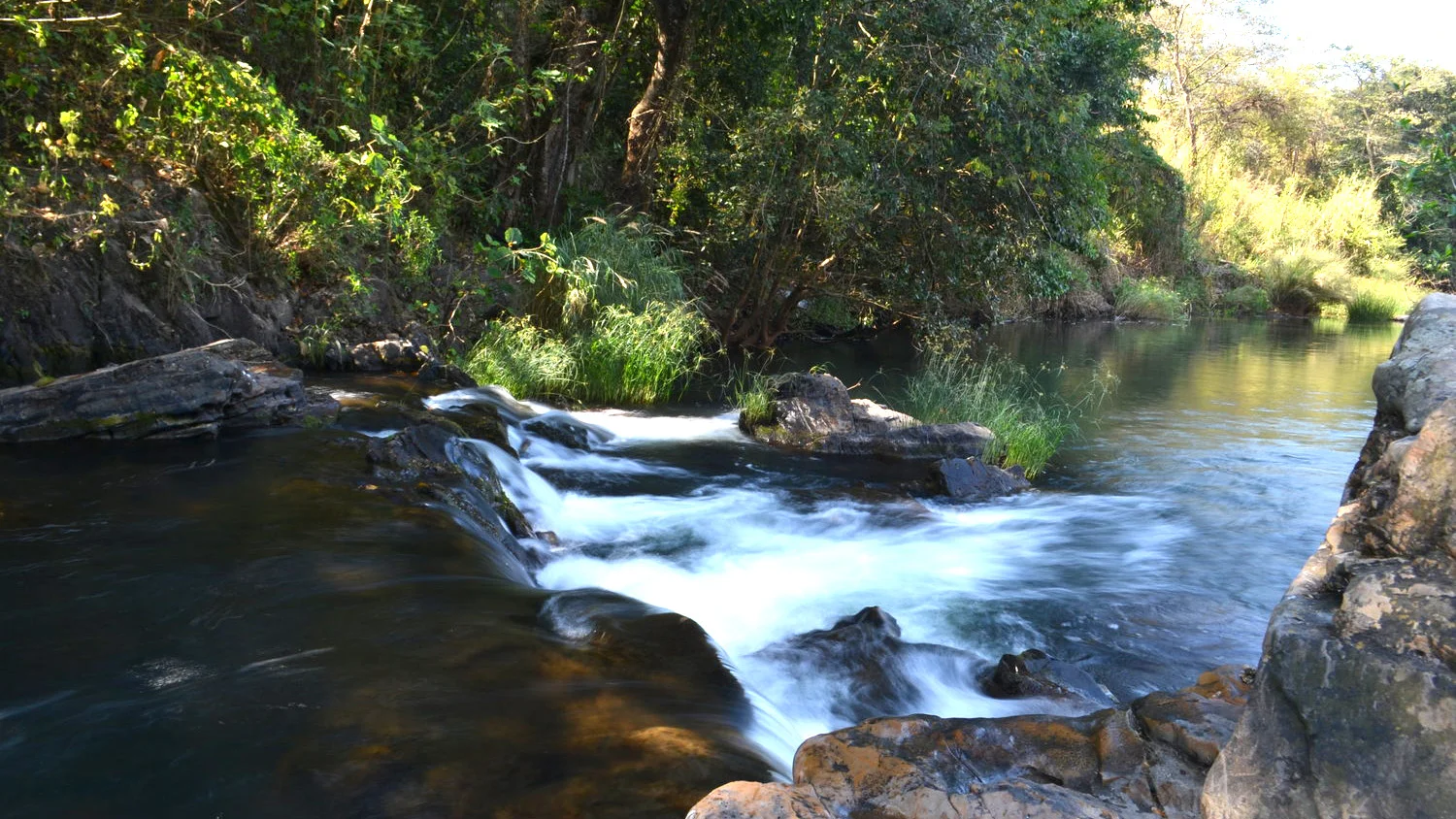 DSC_0226_TFM_MofiaRiver_SW09_ds.jpg