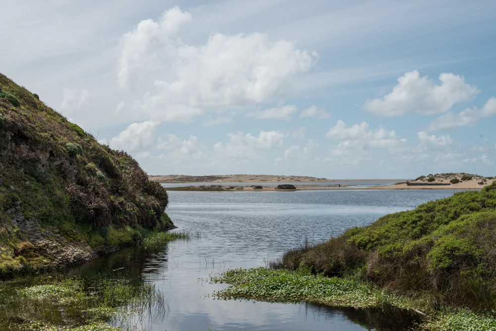 Avoidance is the root of ill.