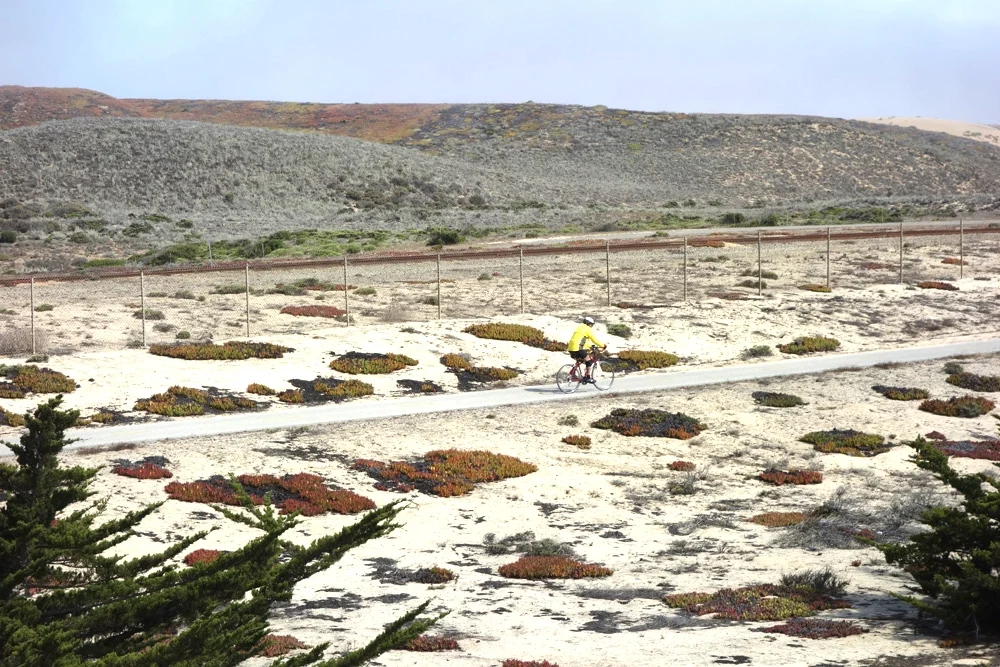 The Should Game should NOT be played.