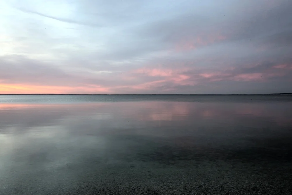 Self-Criticism Gets Turned Around. 