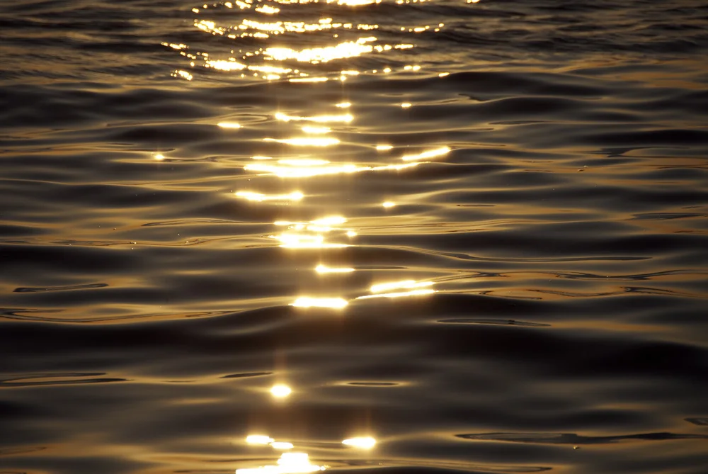 Finding Light in the Cracks