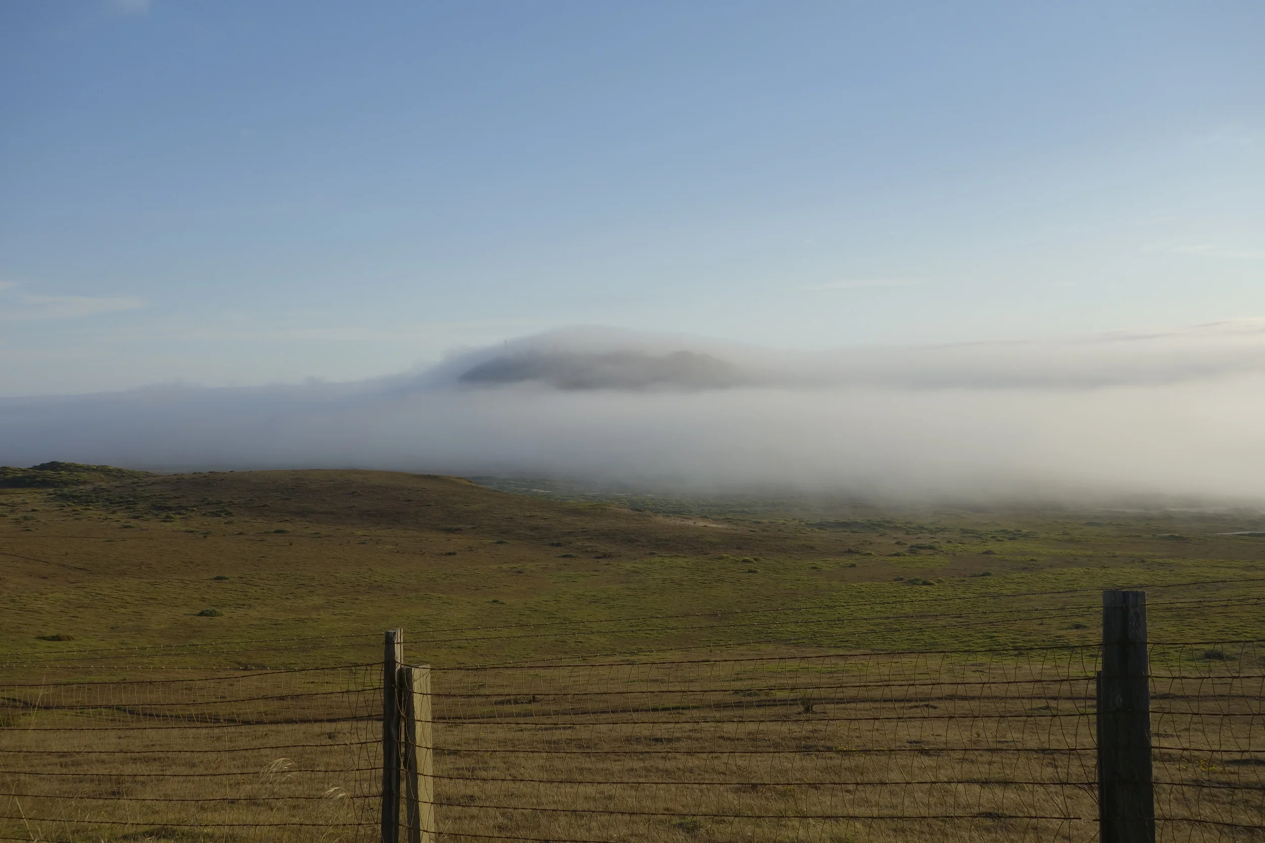 You Can Lose The 5 Pounds