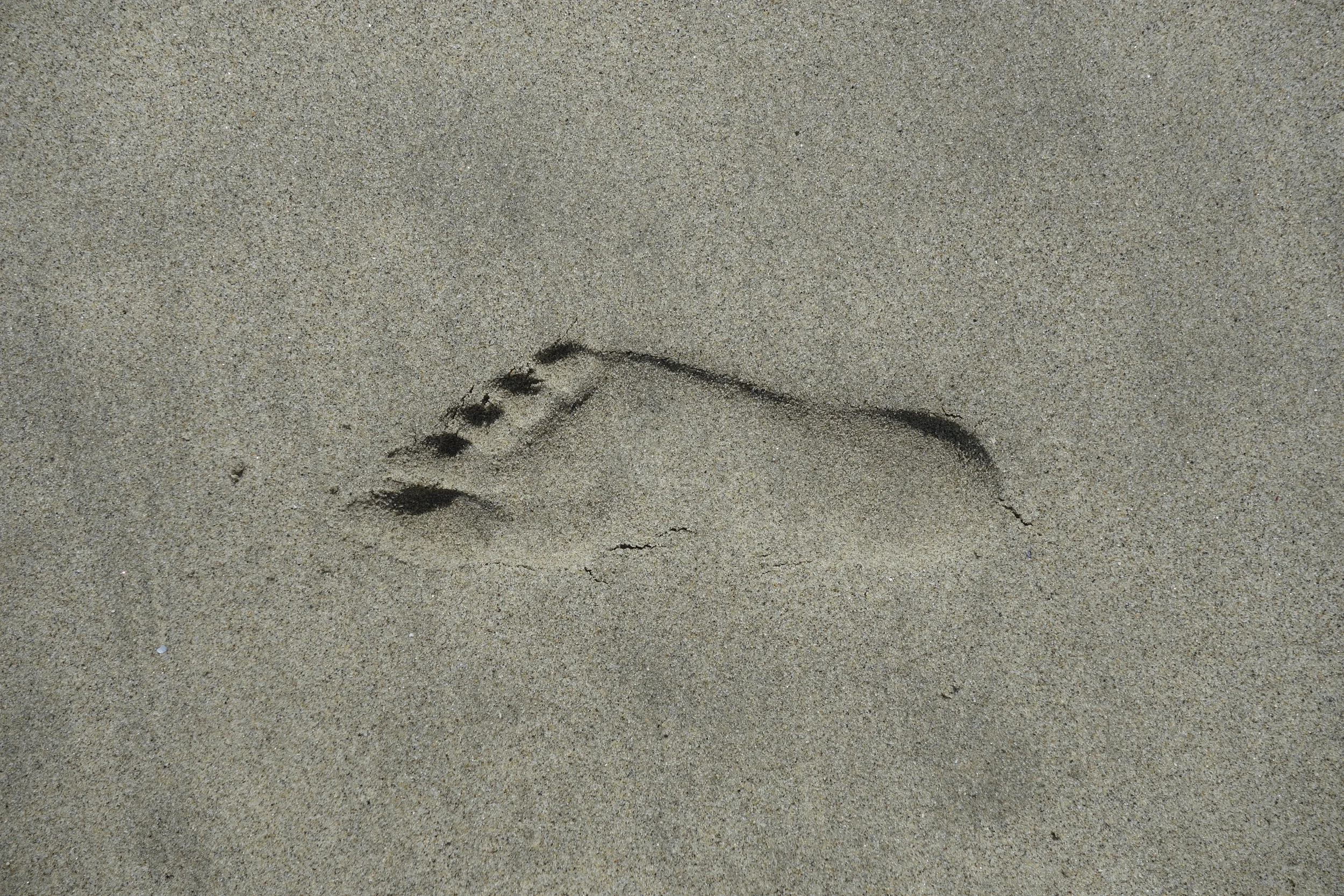 The Productivity Trap