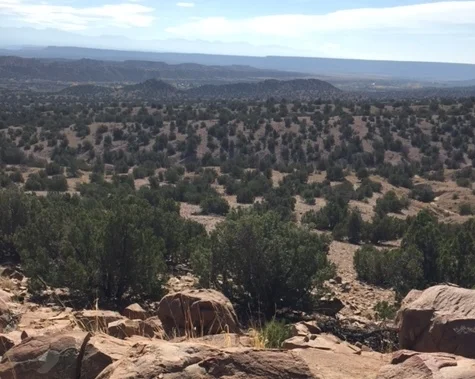 Why Should I Care About Mindfulness?