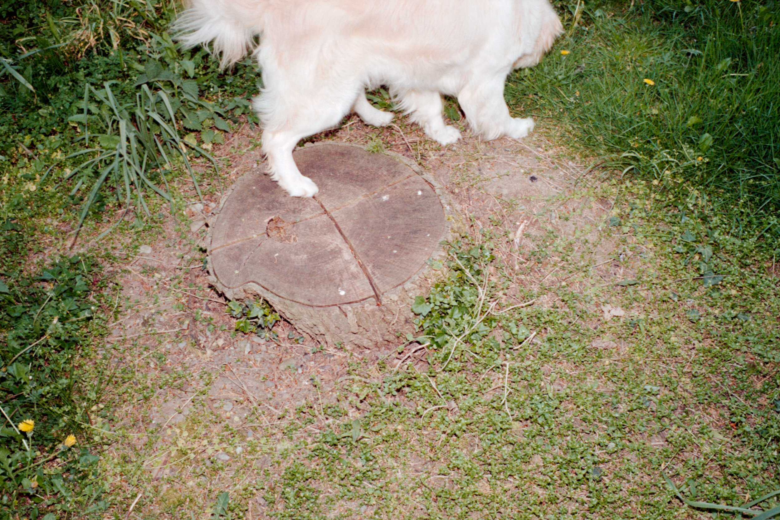sam02034.jpg